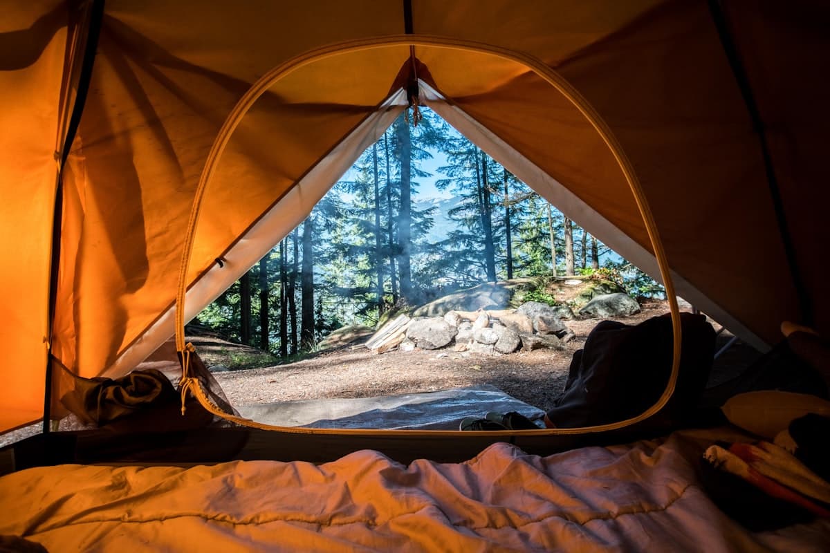 Tents at a wooded campsite